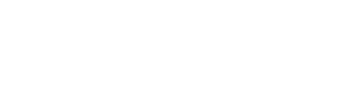 Havoc AI logo